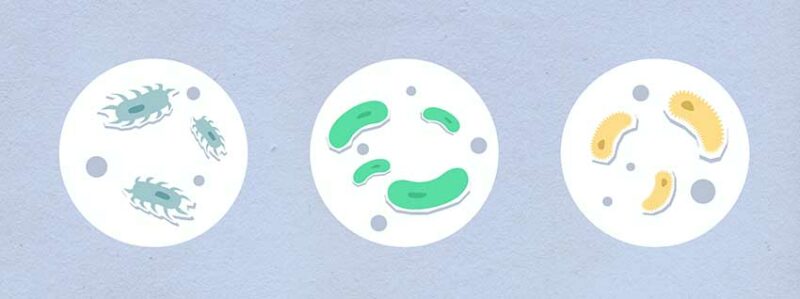 Bacteria Hiding in Bedsheets