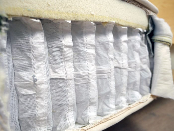 Birch Luxe Coil Layer Birch Luxe pocketed coil layer