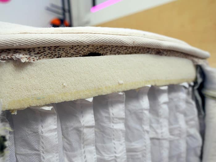 Birch Luxe Latex Layer Birch Luxe latex layer