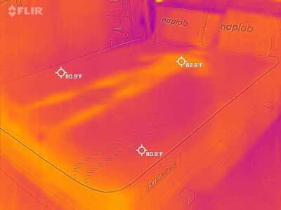 Purple Hybrid after cooling