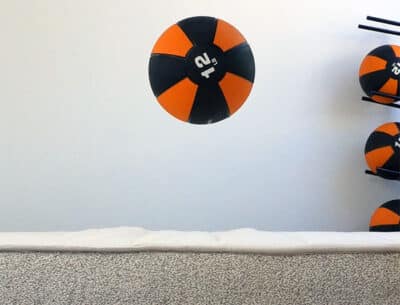 Birch max bounce height