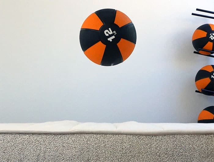 Birch max bounce height