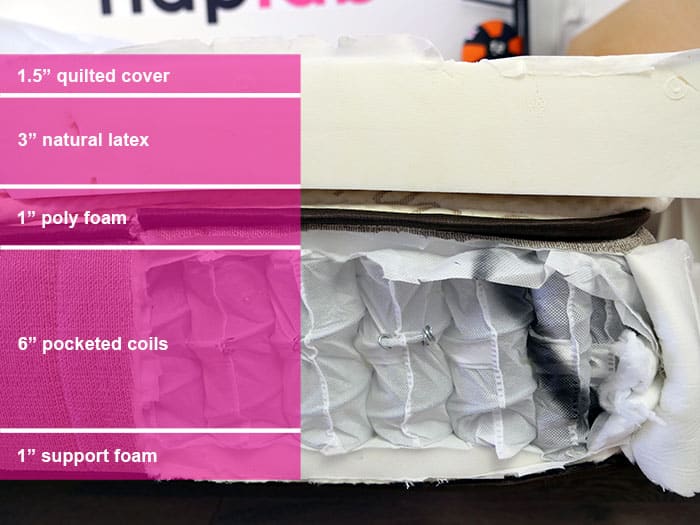 Nest Bedding Owl material layers