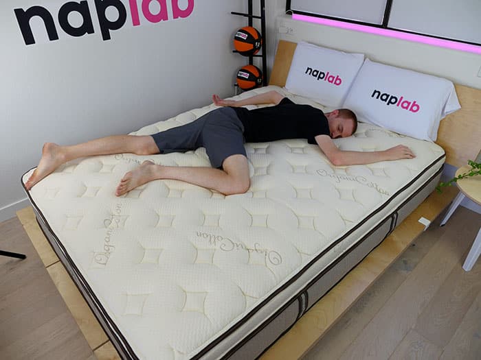 Nest Bedding Owl stomach sleeping