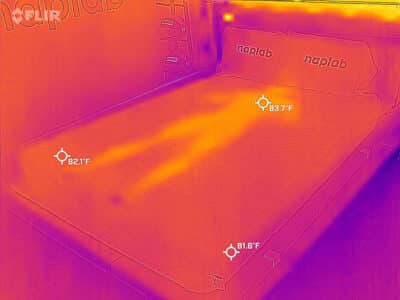 Nest Bedding Quail Cooling After Nest Bedding Quail after cooling