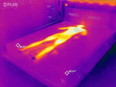 Nest Bedding Quail Cooling Before Nest Bedding Quail before cooling