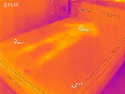 Nest Bedding Sparrow after cooling