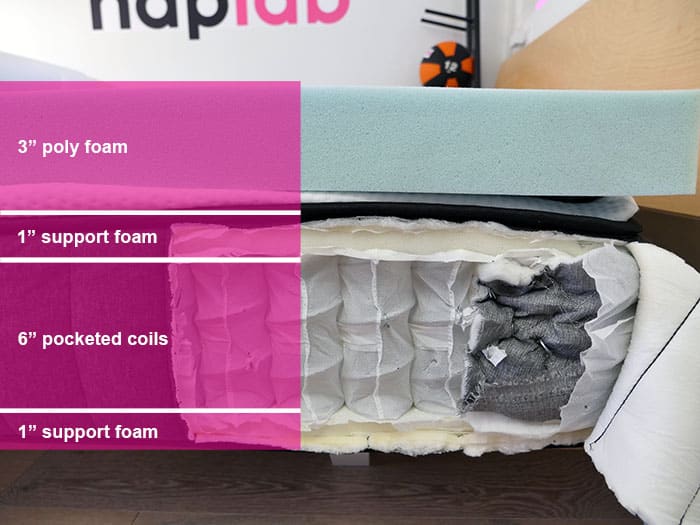 Nest Bedding Sparrow material layers