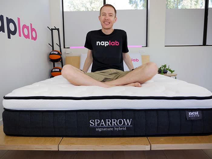 Nest Bedding Sparrow sitting