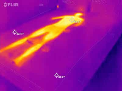 Purple regular before cooling