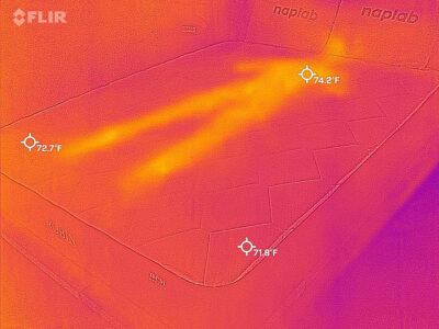 Nest Bedding Robin - cooling after 