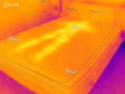 Nest Finch after cooling