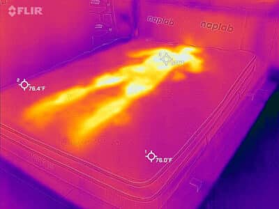 Nest Finch before cooling