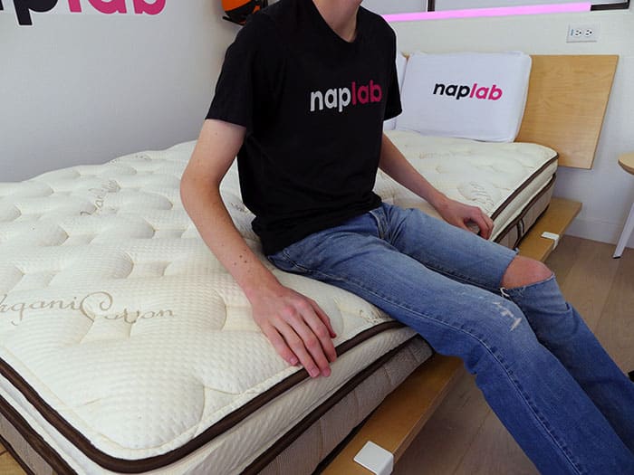 Nest Finch sitting on edge