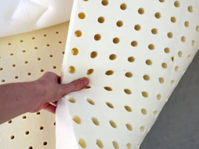 Nest Finch natural latex later