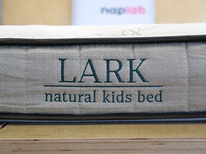 Nest Lark Kids logo