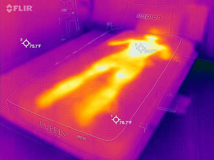 Nest Puffin Kids before cooling