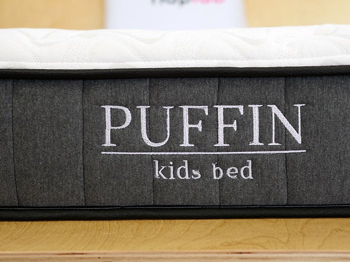 Nest Puffin Kids logo