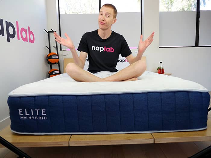 Bear Elite Hybrid Sitting Bear Elite Hybrid Sitting