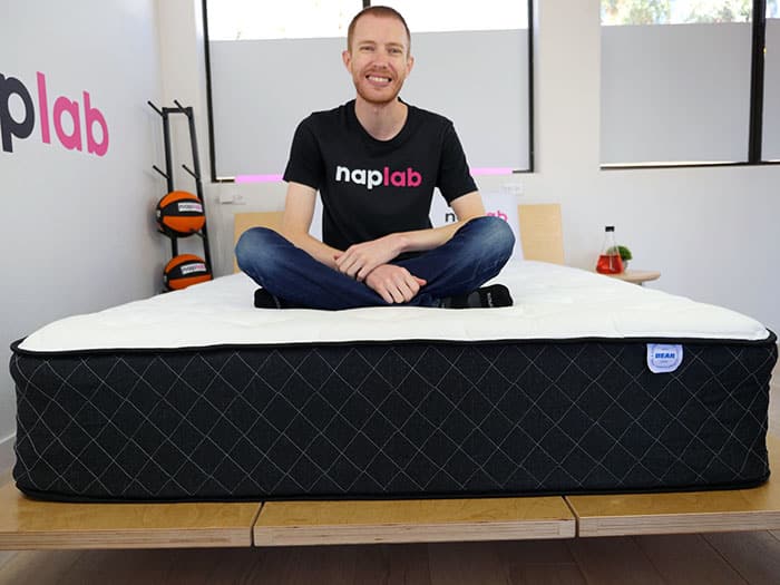 Bear Star Hybrid sitting Bear Star Hybrid sitting