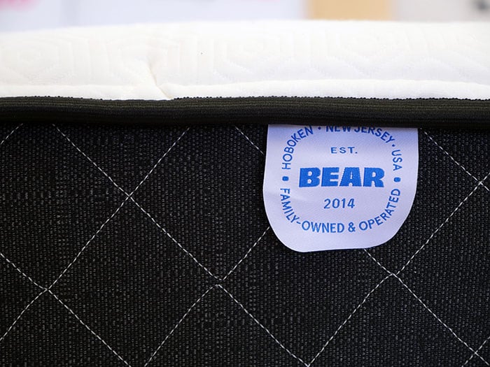 Bear Hybrid Tag Bear Hybrid Tag