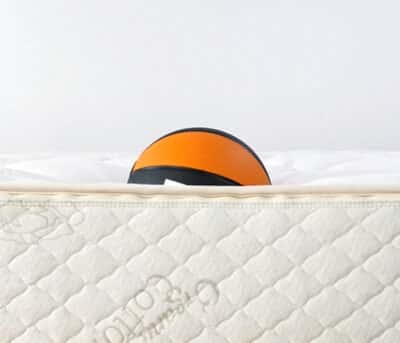 Sleep Ez Organic Latex Bounce Depth