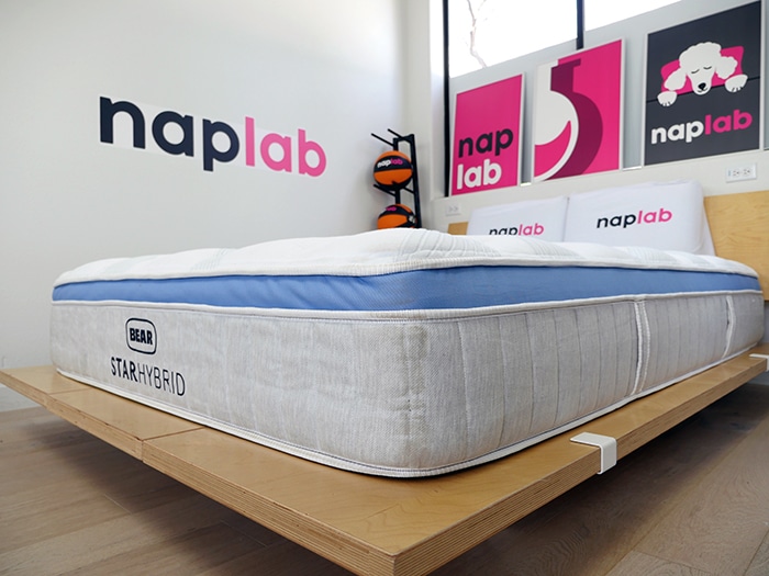 Bear Star Hybrid Bear Star Hybrid