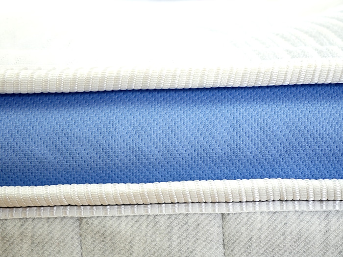 Bear Star Hybrid 2023 Blue Stripe