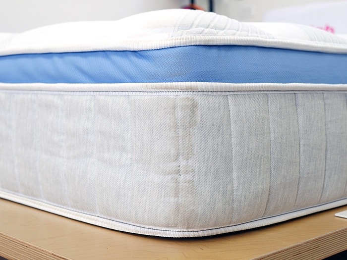 Bear Star Hybrid 2023 Corner