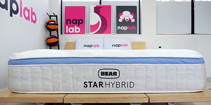 Bear Star Hybrid 2023 Cover Photo