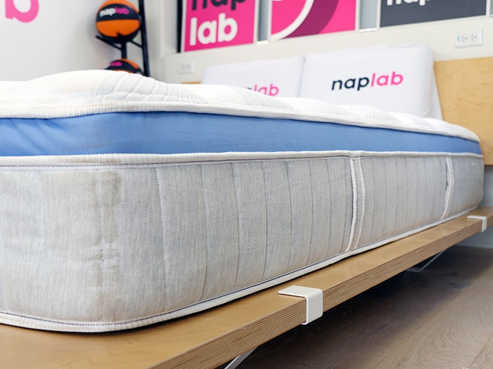 Bear Star Hybrid 2023 Side