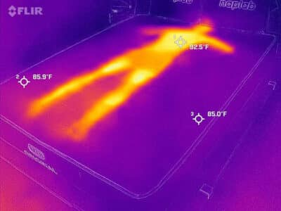 Bear Original Before Cooling Test