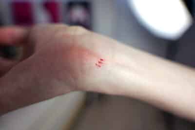 Naturepedic Eos Cut Hand 2