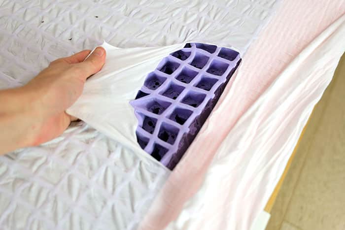 Purple Restore Plus Elastic Polymer Purple Restore Plus Elastic Polymer