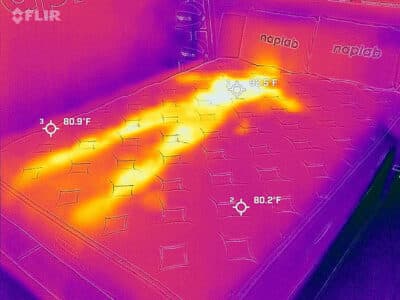 Bear Natural Before Cooling Test