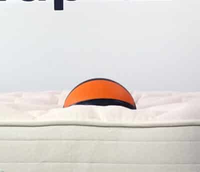 Bear Natural Bounce Depth