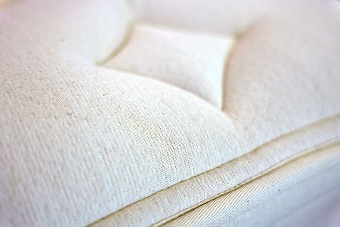 Bear Natural Cover Close