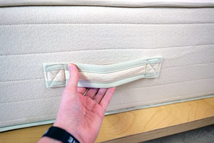 Bear Natural Holding Handle