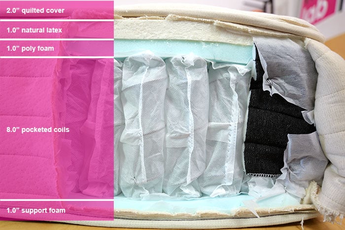 Bear Natural Material Layers