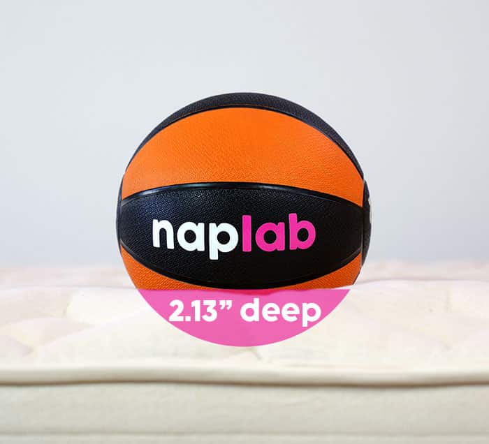 Bear Natural Sinkage Test