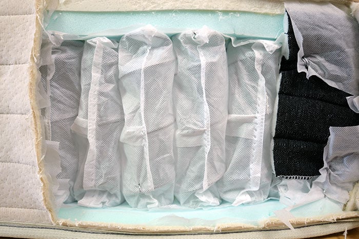 Bear Natural Support Coils