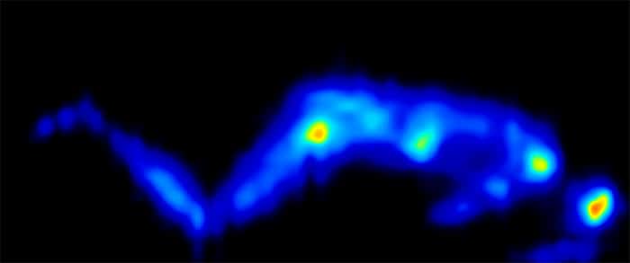 Leesa Reserve Pressure Mapping Side 2 Leesa Reserve Pressure Mapping Side 2