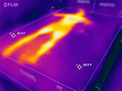 Nest Bedding Starling Before Cooling Test