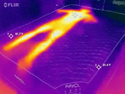 Puffy Monarch Cooling Test Before