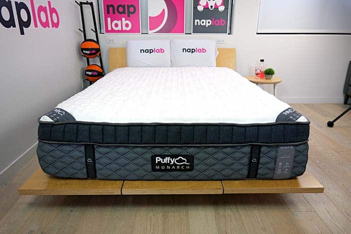 Puffy Monarch Front View