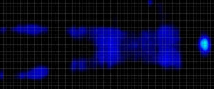 Puffy Monarch Pressure Mapping Back