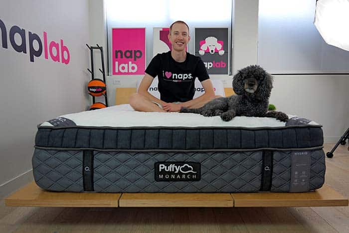 Puffy Monarch Sitting