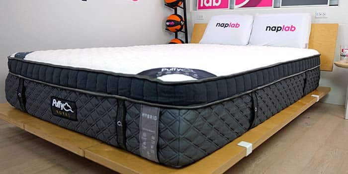 Puffy Royal 2024 Cover Photo2 Puffy Royal 2024 Cover Photo2