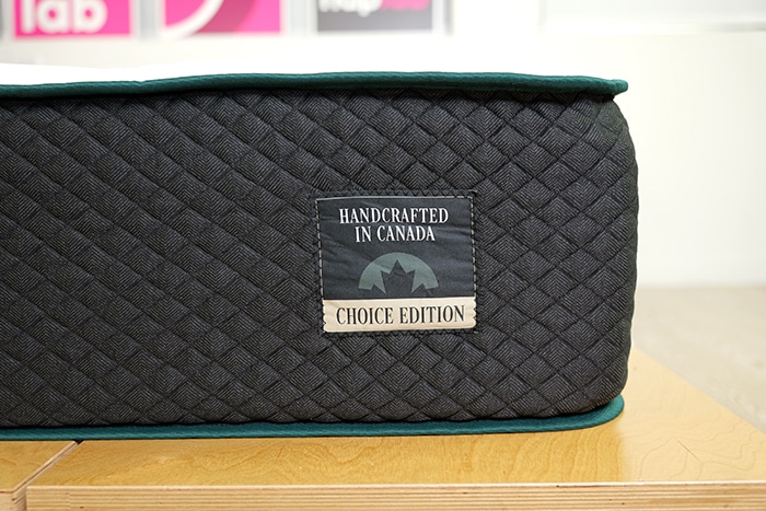 Logan And Cove Choice 2024 Tag