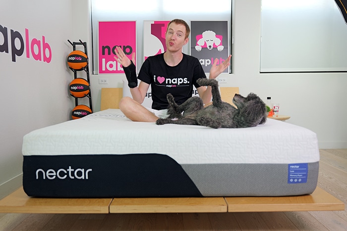 Nectar Luxe Sitting 2